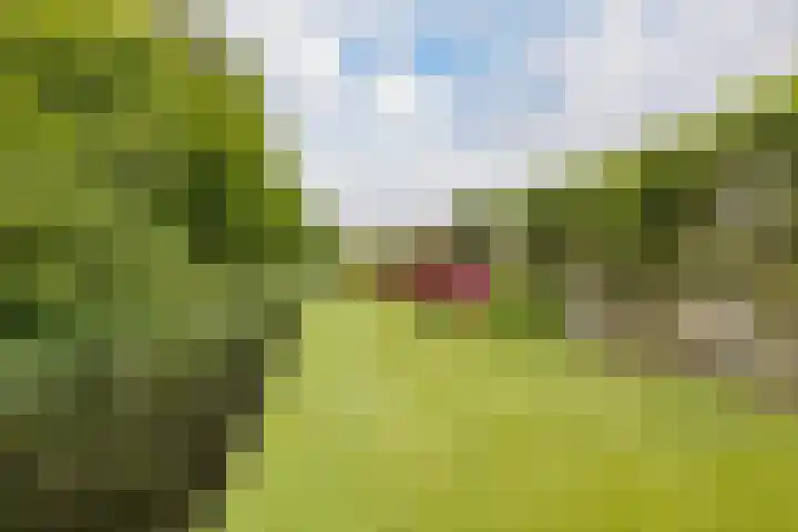 Hobahostraat 44 Lisse thumbnail 36