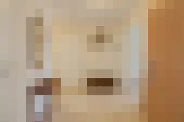 Hobahostraat 44 Lisse thumbnail 5