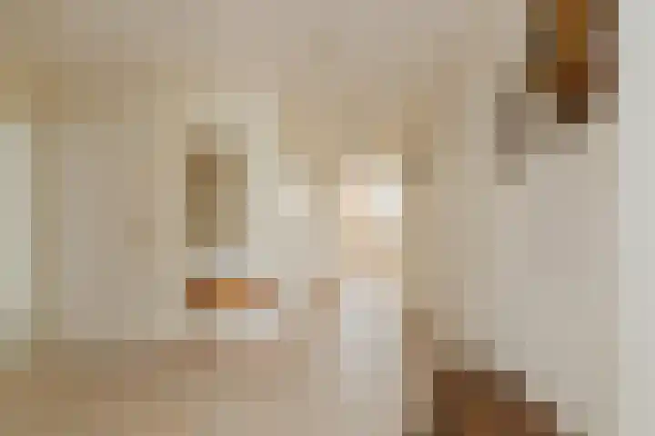 Hobahostraat 44 Lisse thumbnail 6
