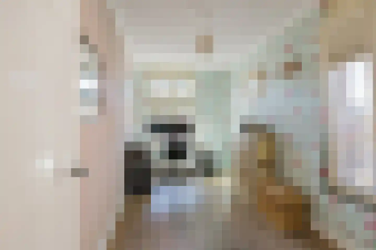 Hobahostraat 7 Lisse thumbnail 27