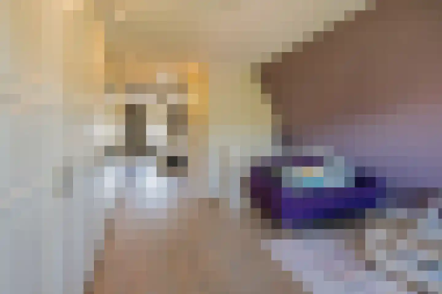 Hobahostraat 7 Lisse thumbnail 32