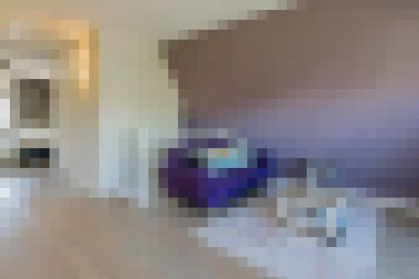 Hobahostraat 7 Lisse thumbnail 37