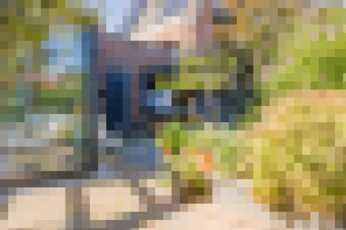 Hobahostraat 7 Lisse thumbnail 43