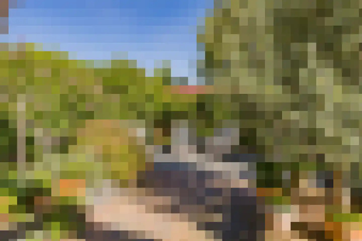 Hobahostraat 7 Lisse thumbnail 45