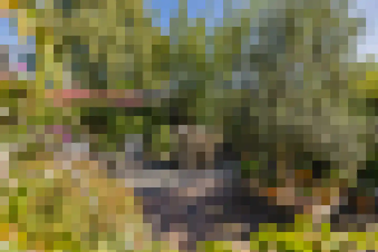 Hobahostraat 7 Lisse thumbnail 47