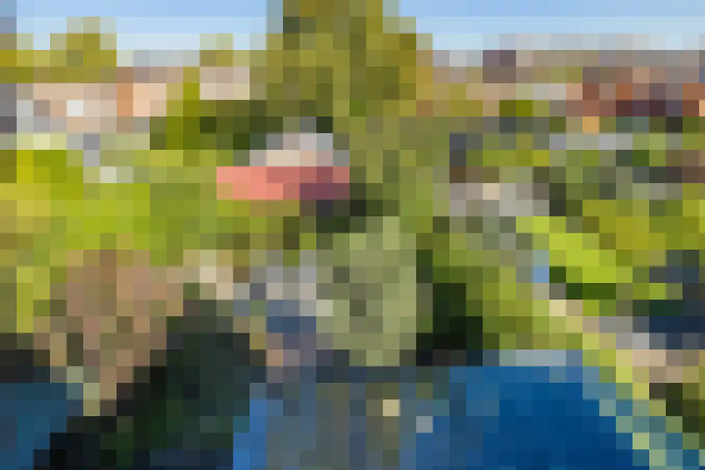 Hobahostraat 7 Lisse thumbnail 48