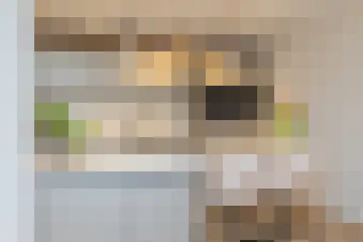 Hobahostraat 82 Lisse thumbnail 15