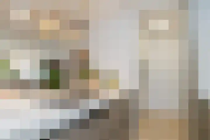 Hobahostraat 82 Lisse thumbnail 18