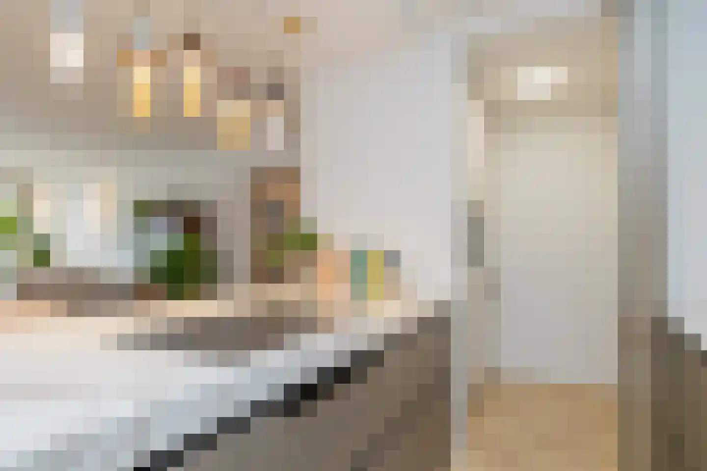 Hobahostraat 82 Lisse thumbnail 18