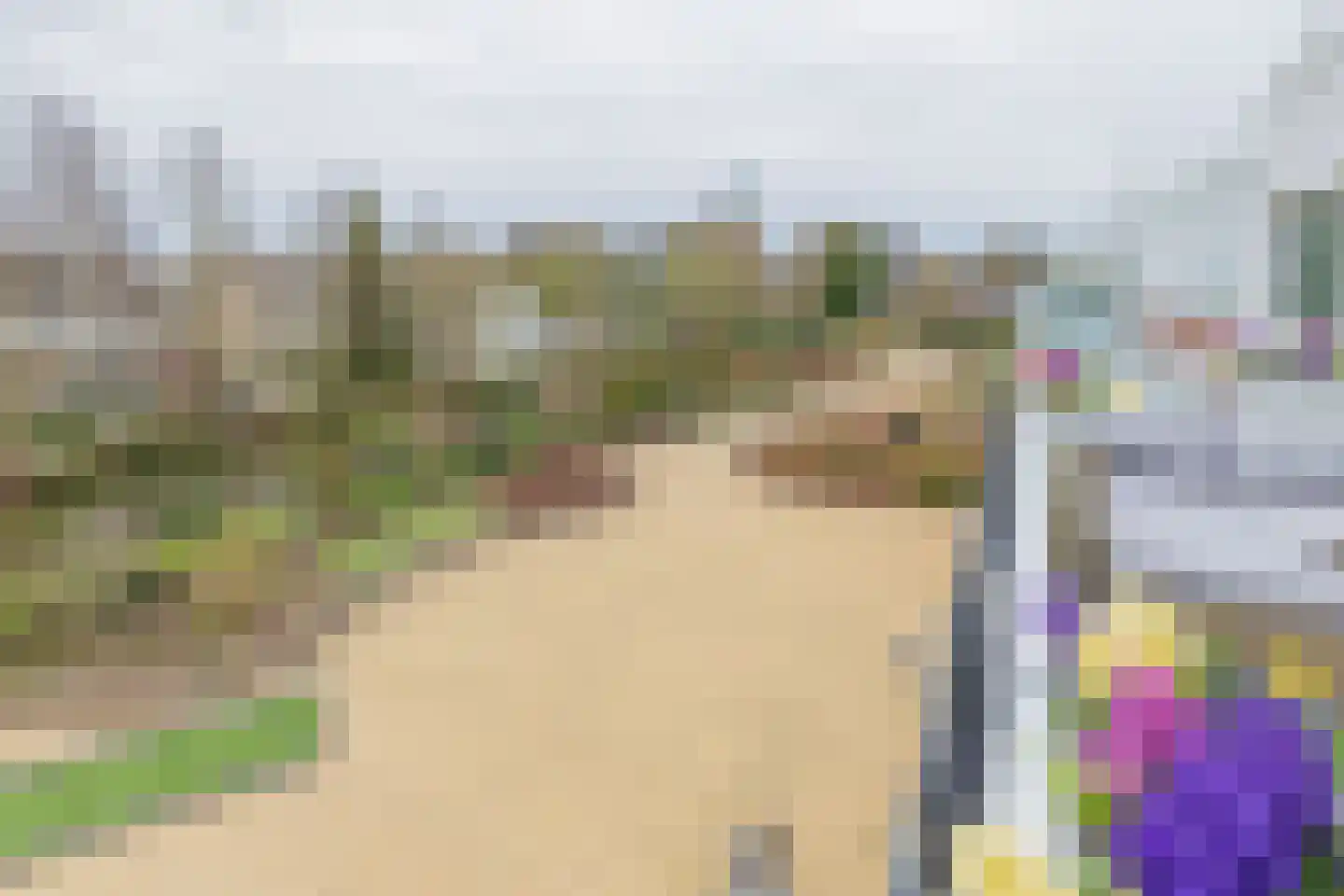 Hobahostraat 82 Lisse thumbnail 23