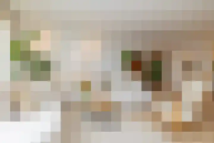Hobahostraat 82 Lisse thumbnail 27