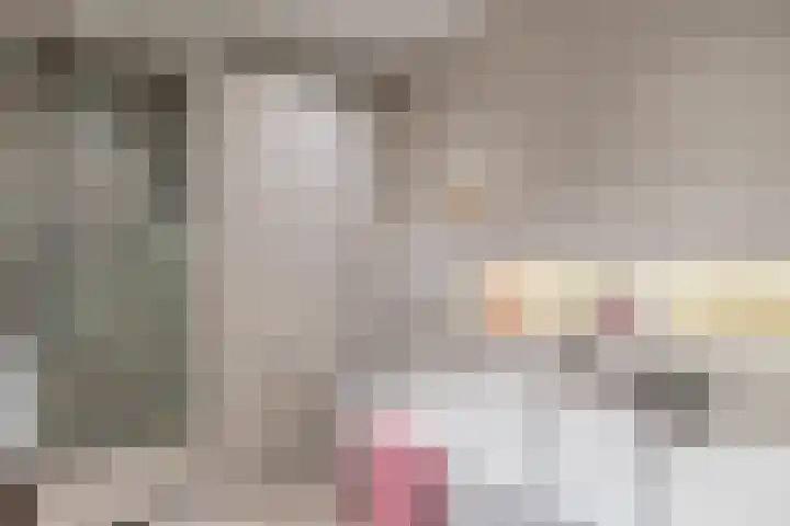 Hobahostraat 82 Lisse thumbnail 38