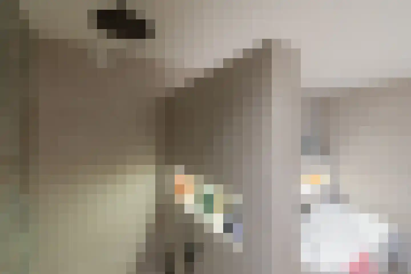 Hobahostraat 82 Lisse thumbnail 40