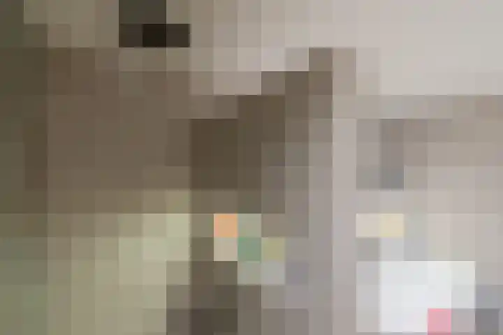 Hobahostraat 82 Lisse thumbnail 40