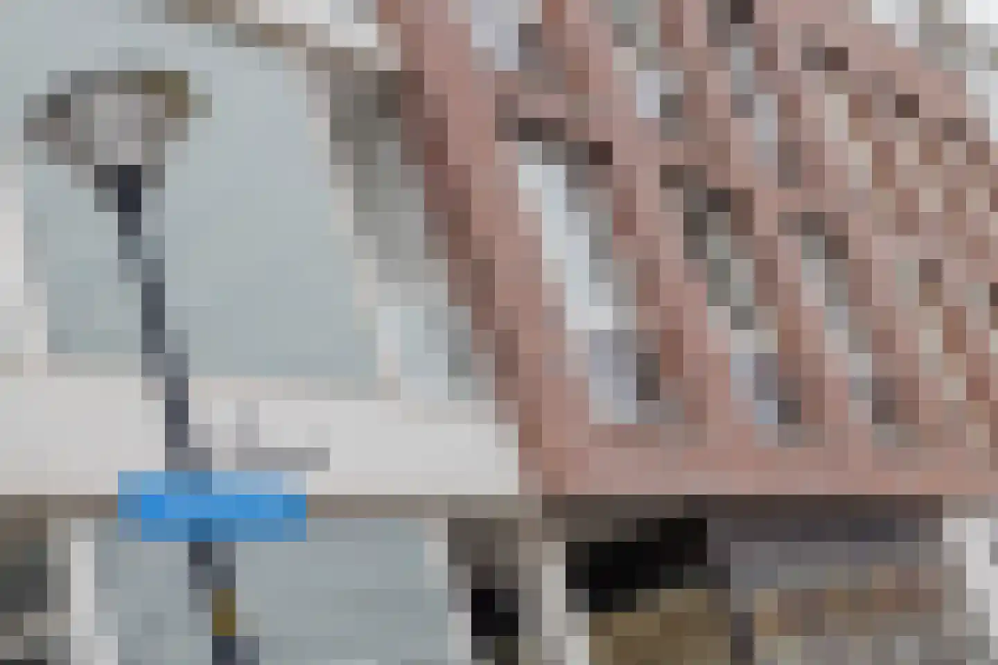 Hobahostraat 82 Lisse thumbnail 6