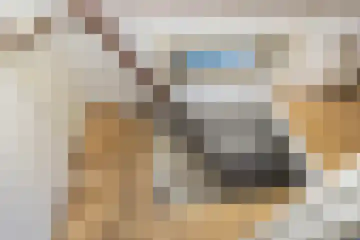 Hobbe van Baerdtstraat 10 Joure thumbnail 21