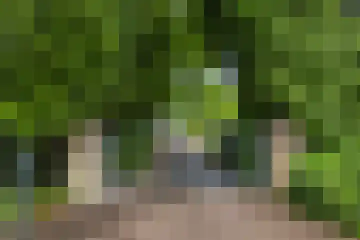 Hobbe van Baerdtstraat 10 Joure thumbnail 5