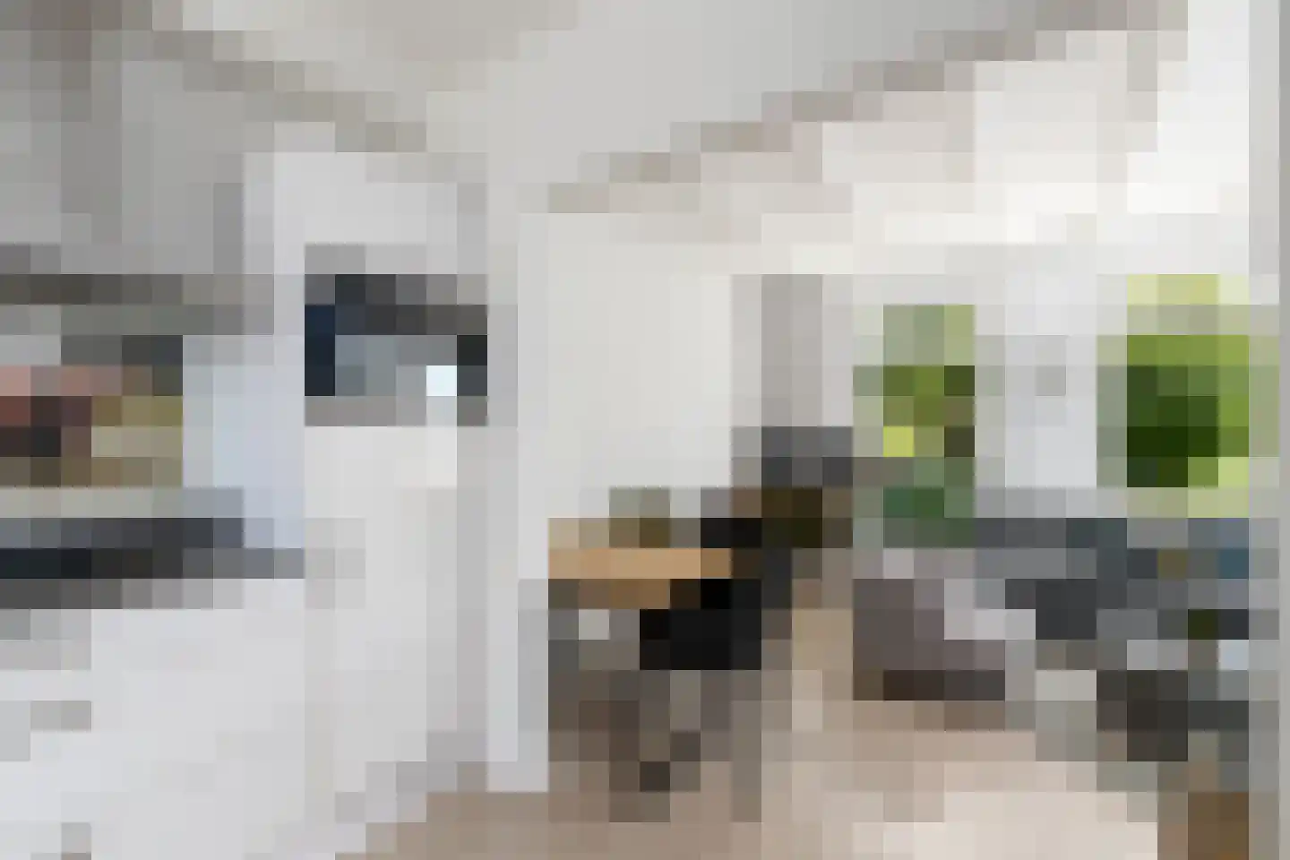 Hobbe van Baerdtstraat 14 Joure thumbnail 11