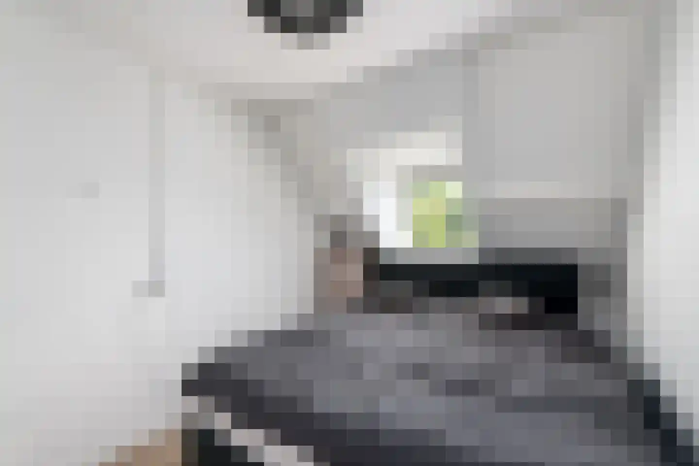 Hobbe van Baerdtstraat 14 Joure thumbnail 15