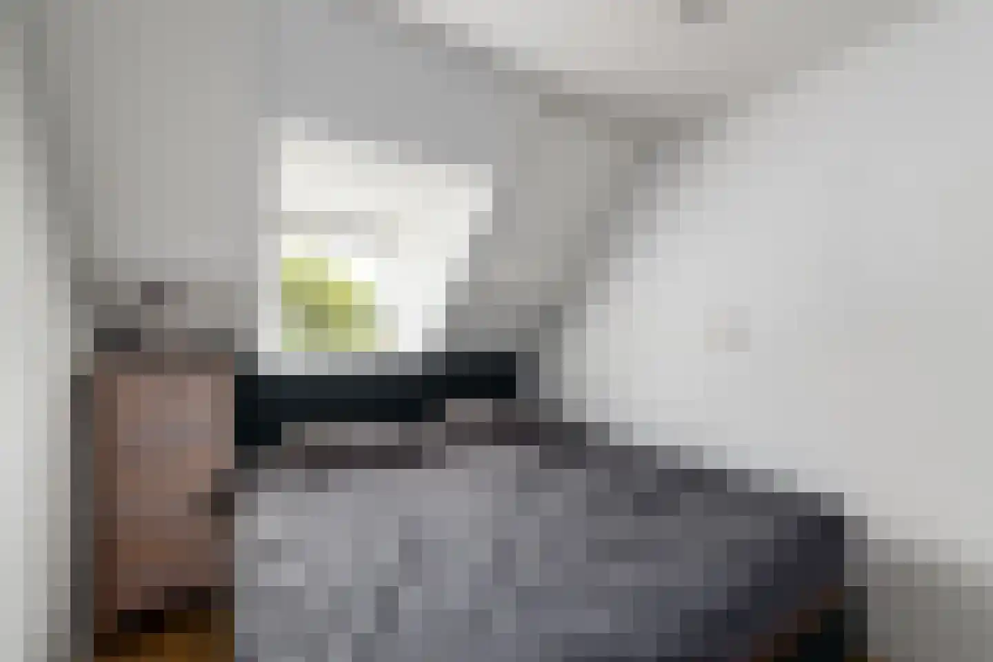 Hobbe van Baerdtstraat 14 Joure thumbnail 16