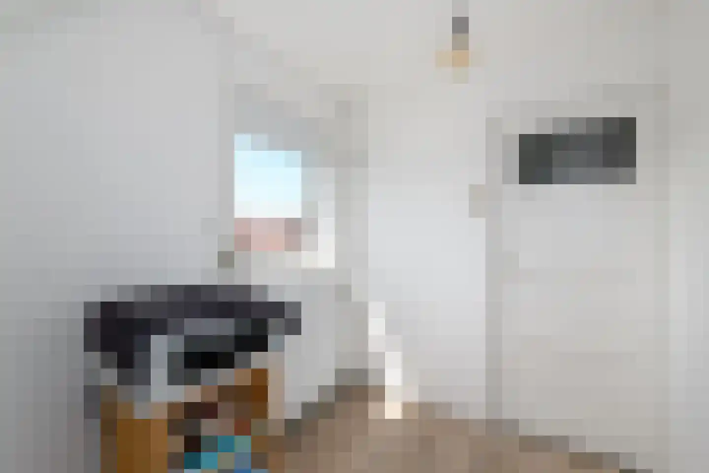 Hobbe van Baerdtstraat 14 Joure thumbnail 20