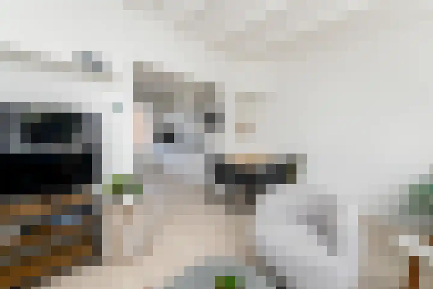 Hobbe van Baerdtstraat 14 Joure thumbnail 8