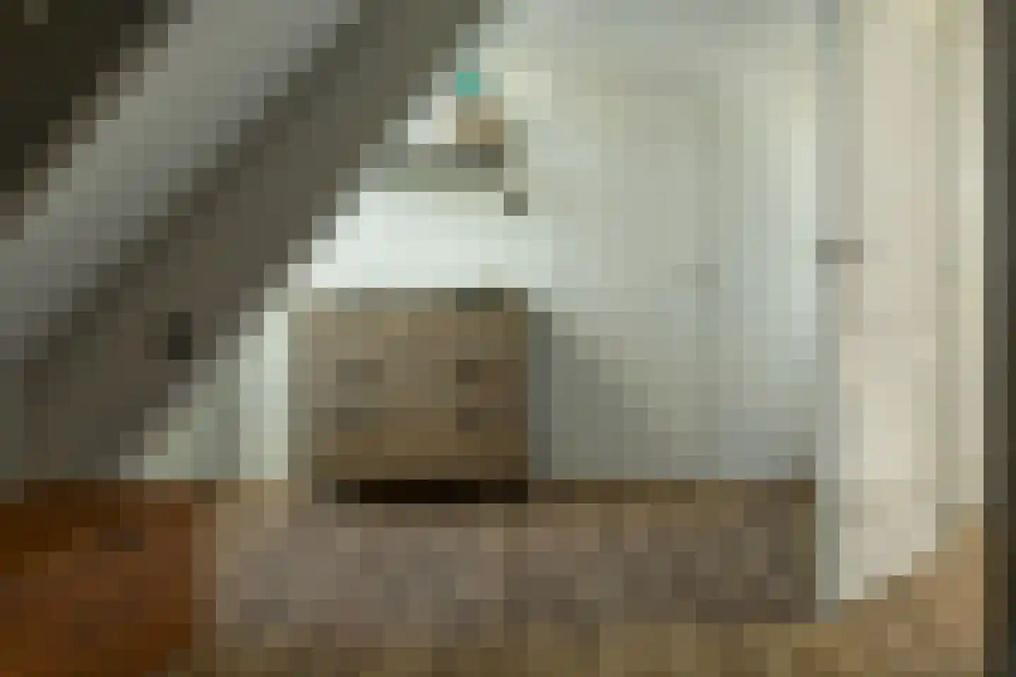 Hobbe van Baerdtstraat 23 Joure thumbnail 23