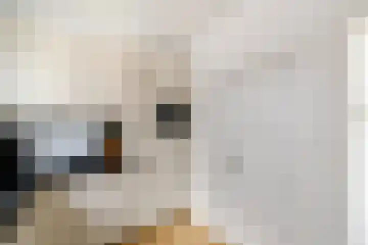 Hobbe van Baerdtstraat 28 Joure thumbnail 10
