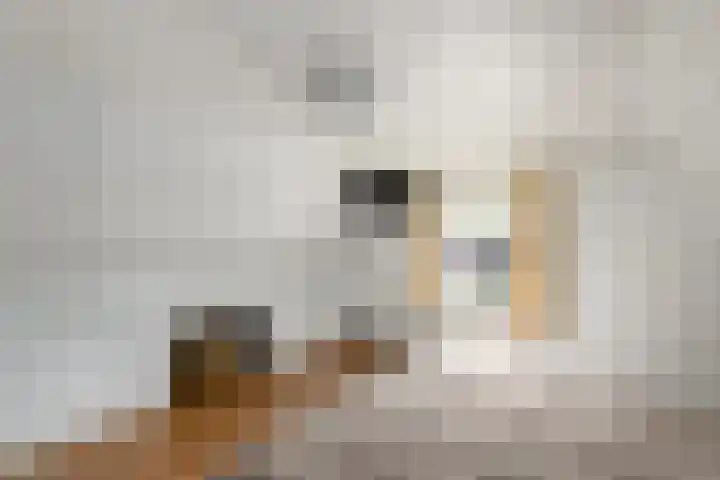Hobbe van Baerdtstraat 28 Joure thumbnail 20