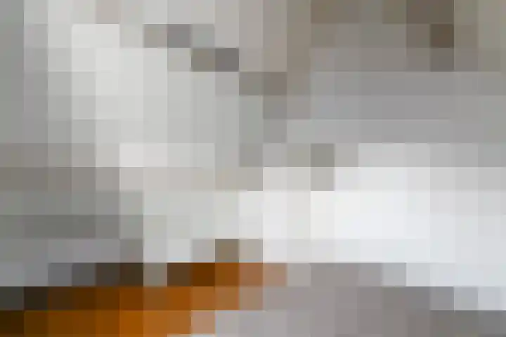 Hobbe van Baerdtstraat 28 Joure thumbnail 26
