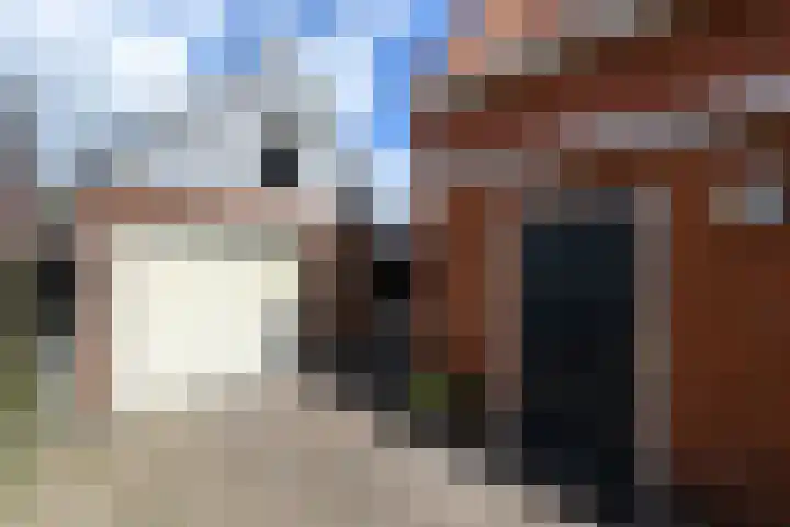 Hobbe van Baerdtstraat 28 Joure thumbnail 29