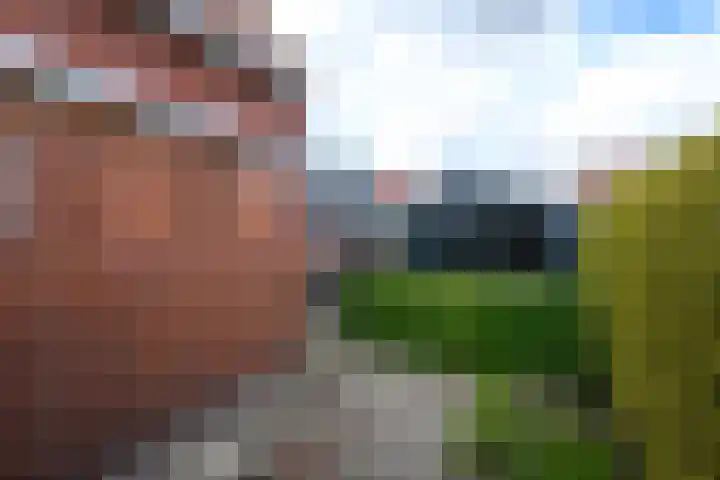 Hobbe van Baerdtstraat 28 Joure thumbnail 38