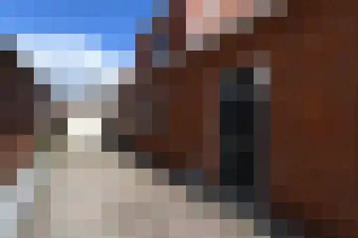Hobbe van Baerdtstraat 28 Joure thumbnail 39