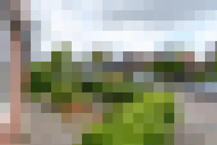 Hobbe van Baerdtstraat 28 Joure thumbnail 5