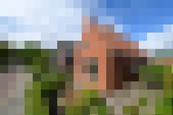 Hobbe van Baerdtstraat 28 Joure thumbnail 6