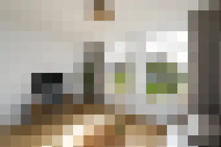 Hobbe van Baerdtstraat 28 Joure thumbnail 7