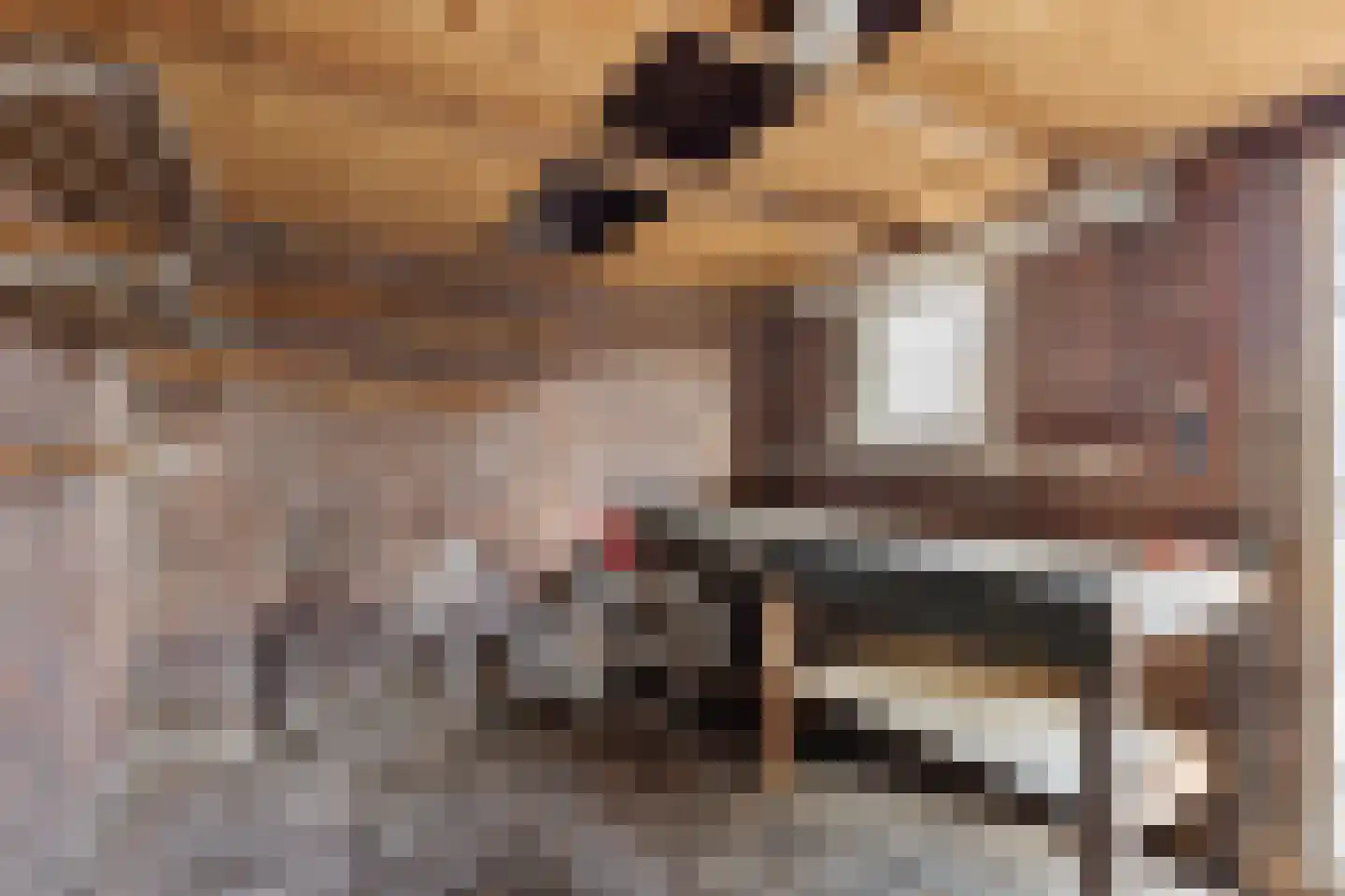 Hobbe van Baerdtstraat 8 Joure thumbnail 14