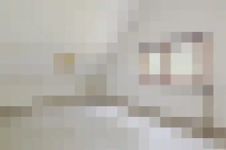 Hobbel 16 Riethoven thumbnail 27