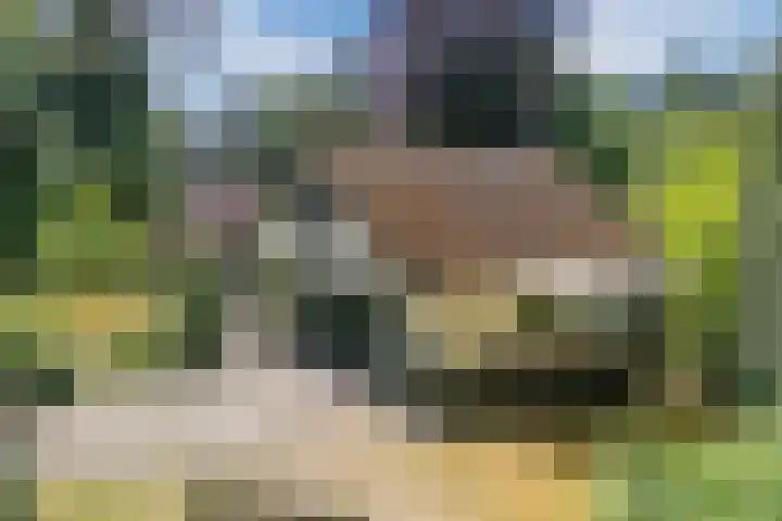 Hobbel 16 Riethoven thumbnail 33