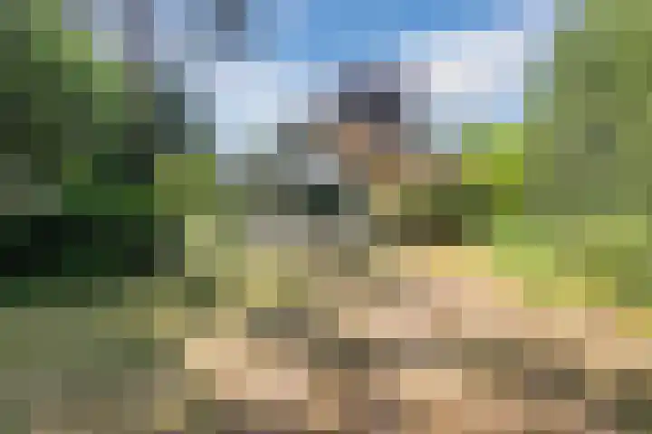 Hobbel 16 Riethoven thumbnail 36
