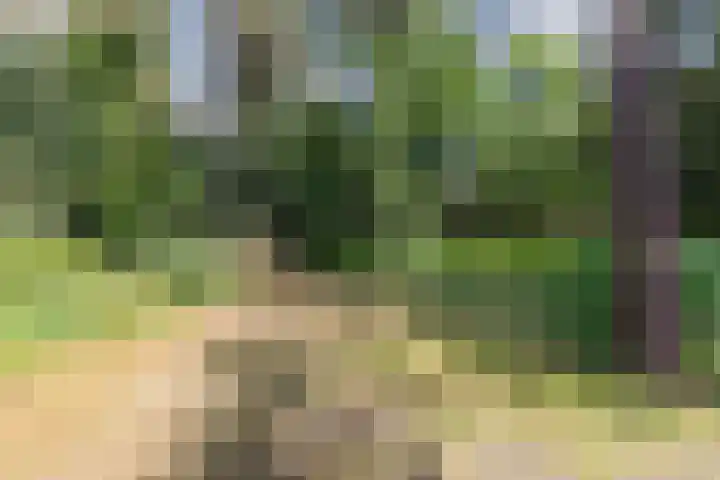 Hobbel 16 Riethoven thumbnail 38