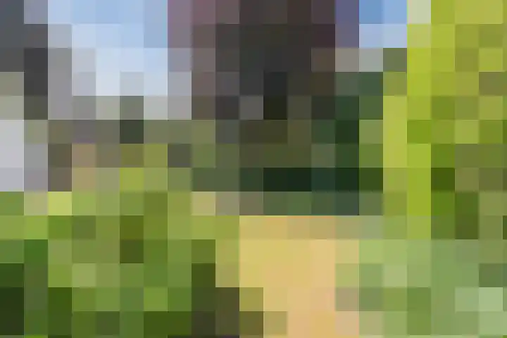 Hobbel 16 Riethoven thumbnail 39