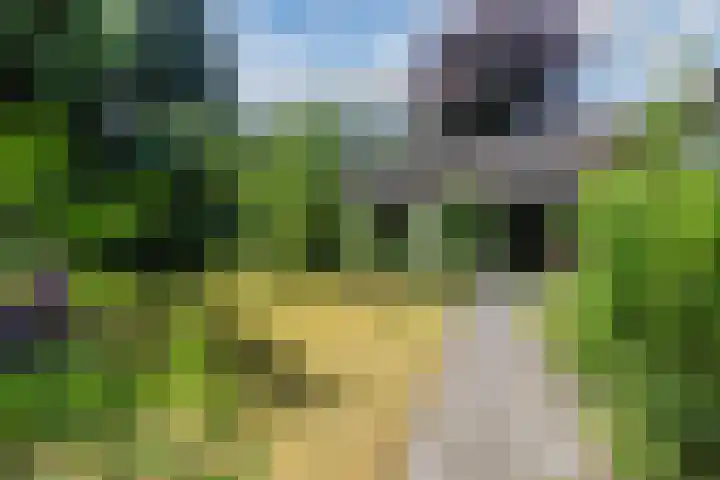 Hobbel 16 Riethoven thumbnail 4