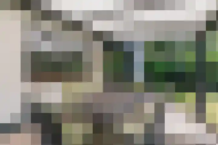 Hobbel 16 Riethoven thumbnail 41