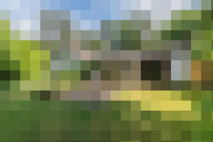 Hobbel 16 Riethoven thumbnail 44