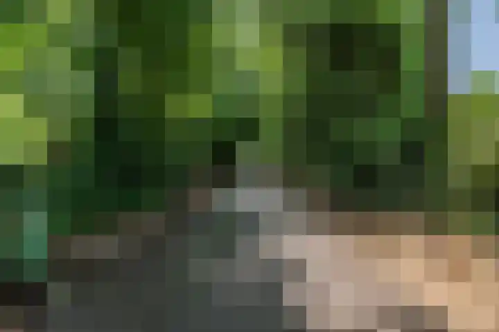 Hobbel 16 Riethoven thumbnail 48