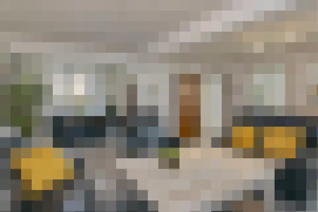 Hobbelrade 105 Spaubeek thumbnail 12