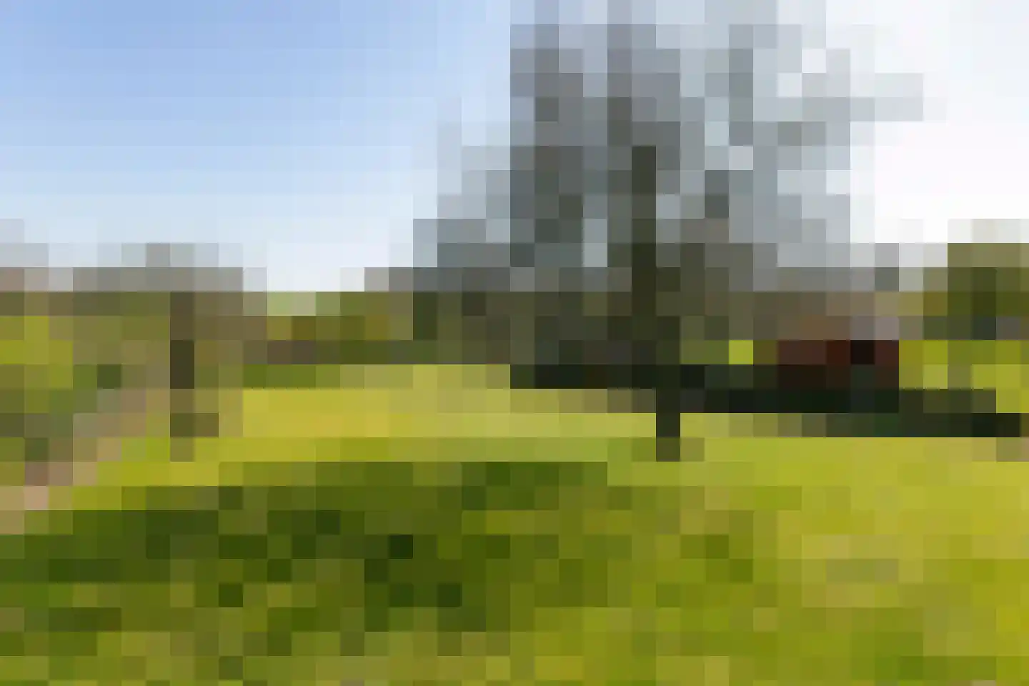 Hobbelrade 105 Spaubeek thumbnail 5