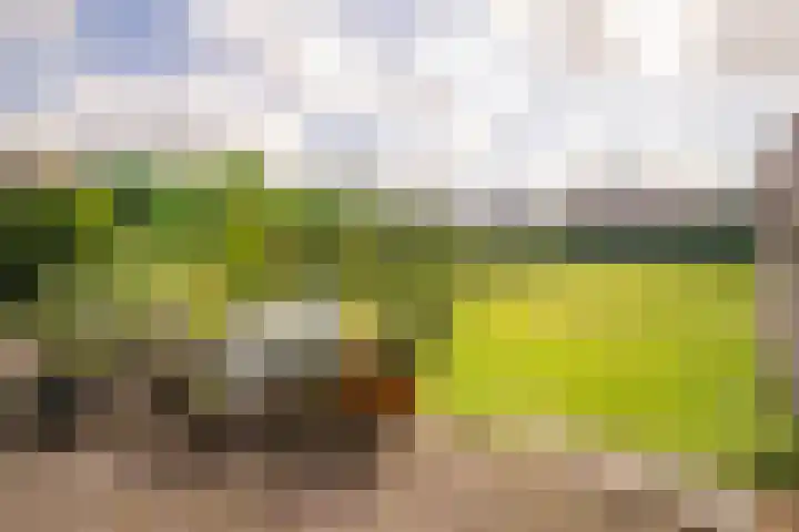 Hobbelrade 5 Spaubeek thumbnail 25