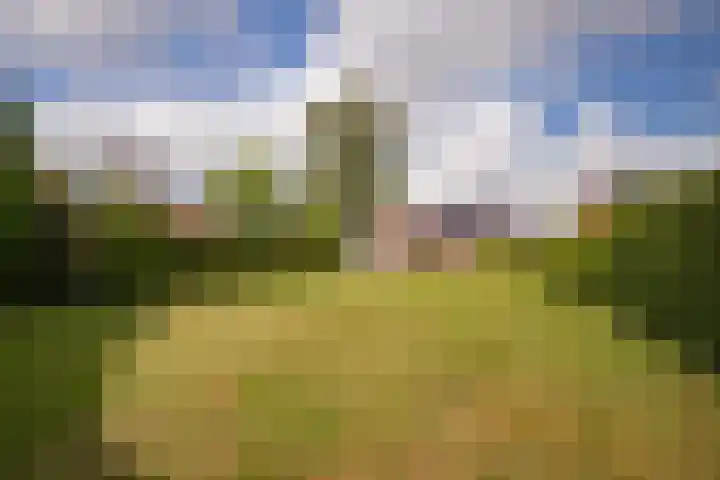 Hobbelrade 5 Spaubeek thumbnail 27